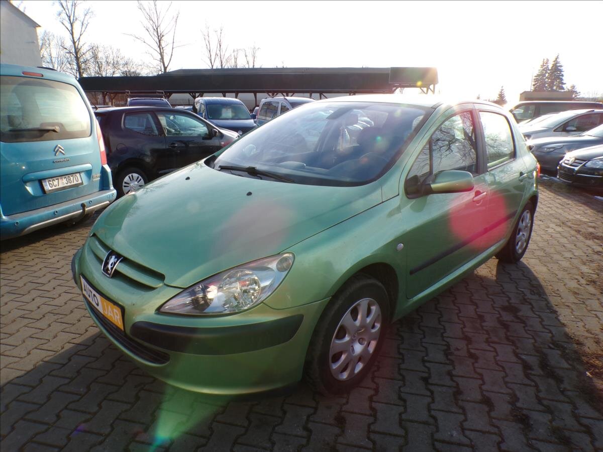 Peugeot 307 Hatchback 1,6 l 80 kw