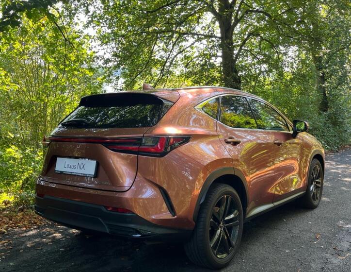 Lexus NX 350h 4
