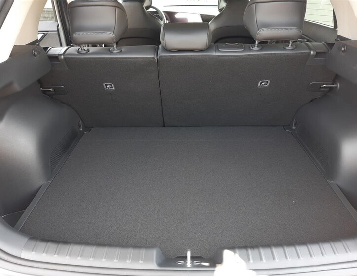 KIA Niro CUV / Crossover 1,6 l 95 kw