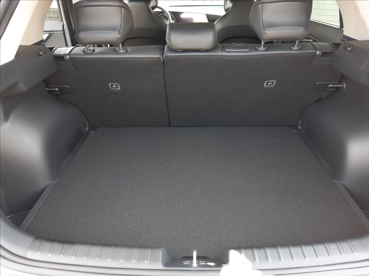 KIA Niro CUV / Crossover 1,6 l 95 kw