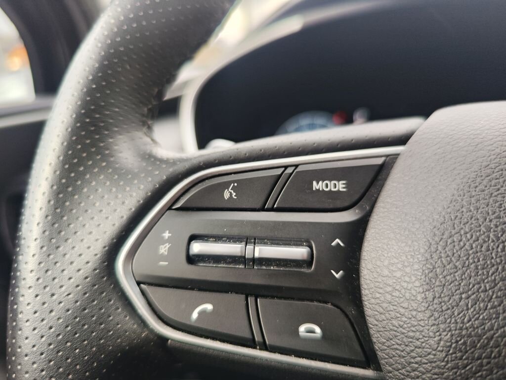 Hyundai Santa Fe SUV 2,2 l 142 kw