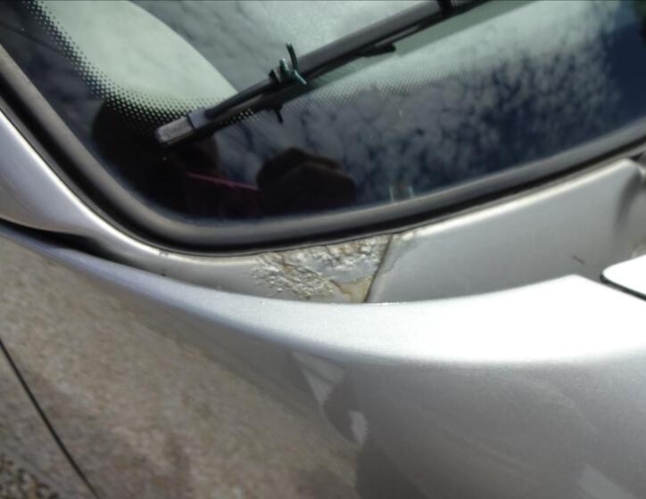 Volkswagen Caravelle 31