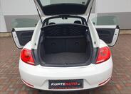 Volkswagen Beetle 21