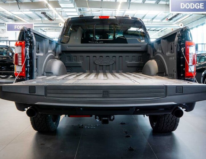 Ford F-150 Pick-up 5,0 l 298 kw