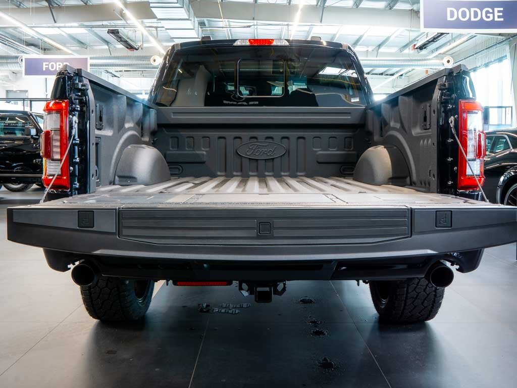 Ford F-150 Pick-up 5,0 l 298 kw