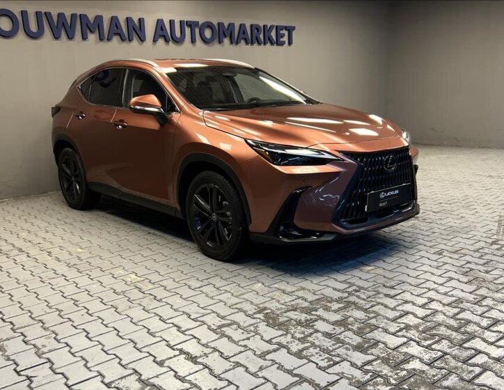 Lexus NX 350h 11