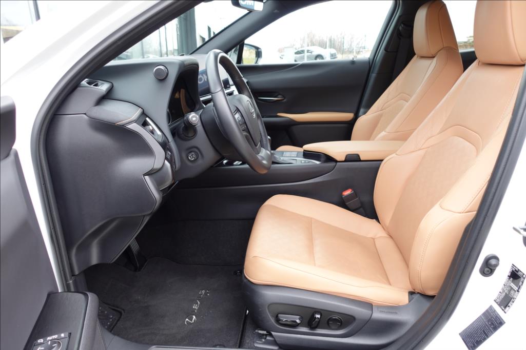 Lexus UX 250h