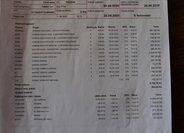 Citroën C4 Picasso MPV 2,0 l 110 kw