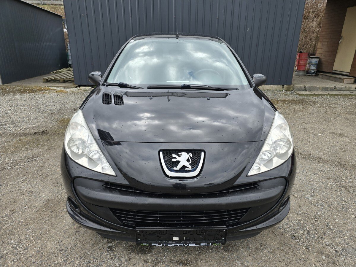 Peugeot 206 Hatchback 1,1 l 44 kw