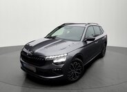Škoda Kamiq 33