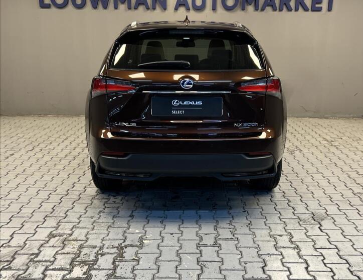 Lexus NX 300h 12