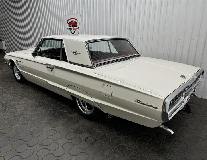 Ford Thunderbird 6