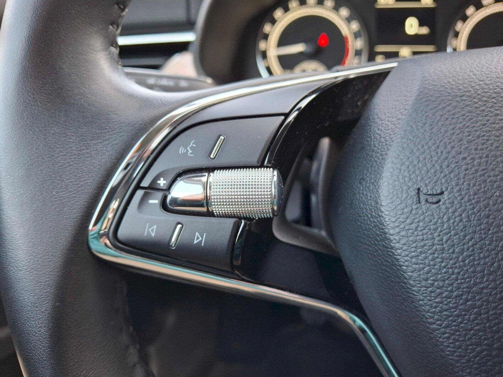 Škoda Scala Hatchback 1,6 l 85 kw