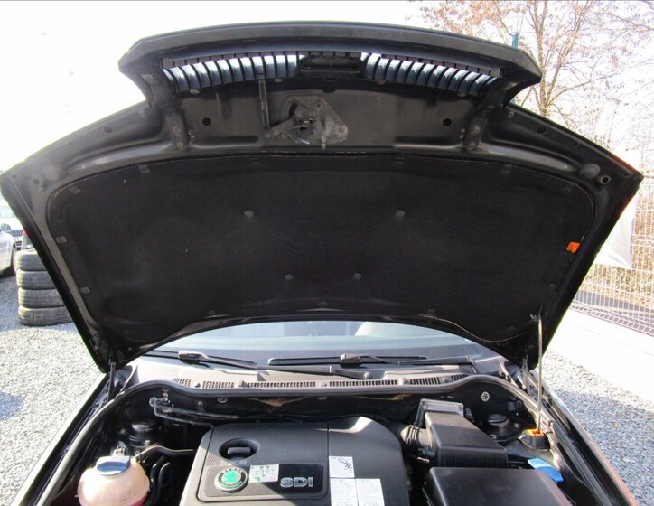 Škoda Fabia Hatchback 1,9 l 47 kw