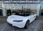 Mercedes-Benz AMG GT 29