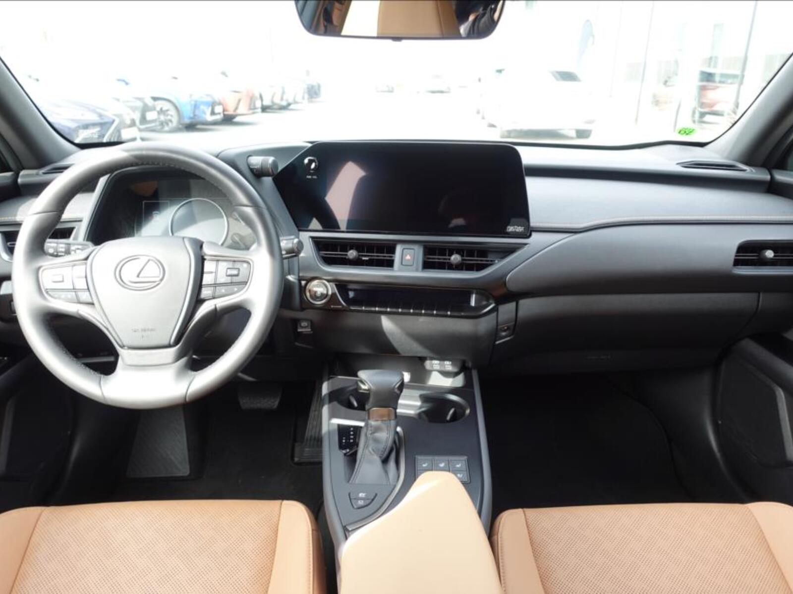 Lexus UX 250h 10
