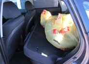 Hyundai i30 Hatchback 1,4 l 80 kw