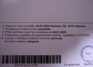 Renault Scénic Kombi 1,9 l 96 kw