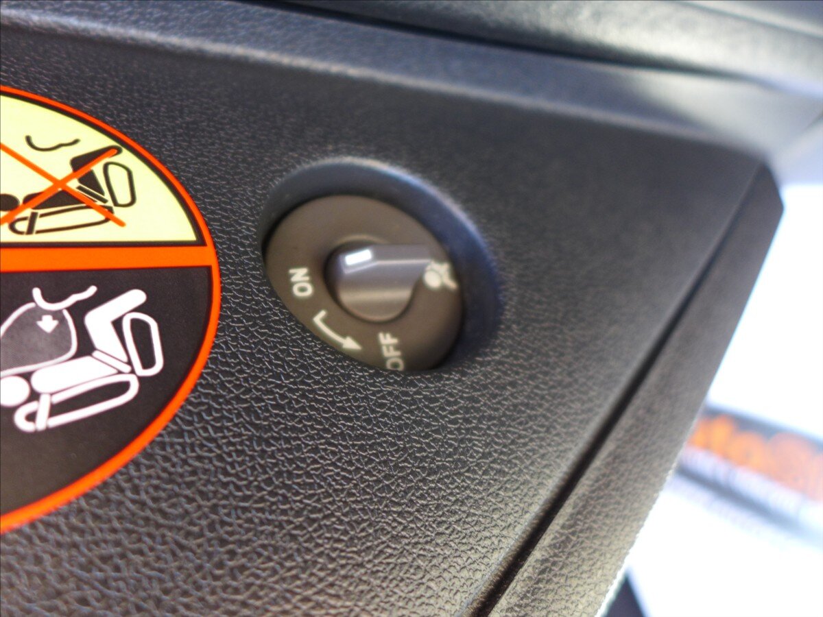 Renault Scénic Kombi 1,9 l 96 kw