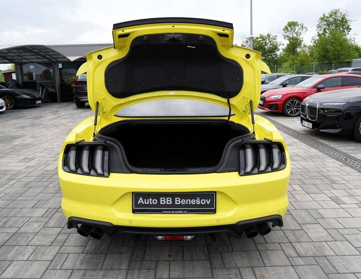 Ford Mustang 11