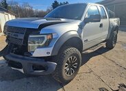 Ford F-150 Pick-up 6,2 l 306 kw