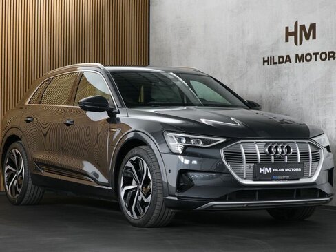 Audi e-tron SUV / Terénní 0,0 300 kw
