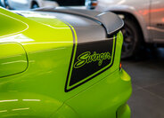 Dodge Charger Ostatní 6,4 l 362 kw