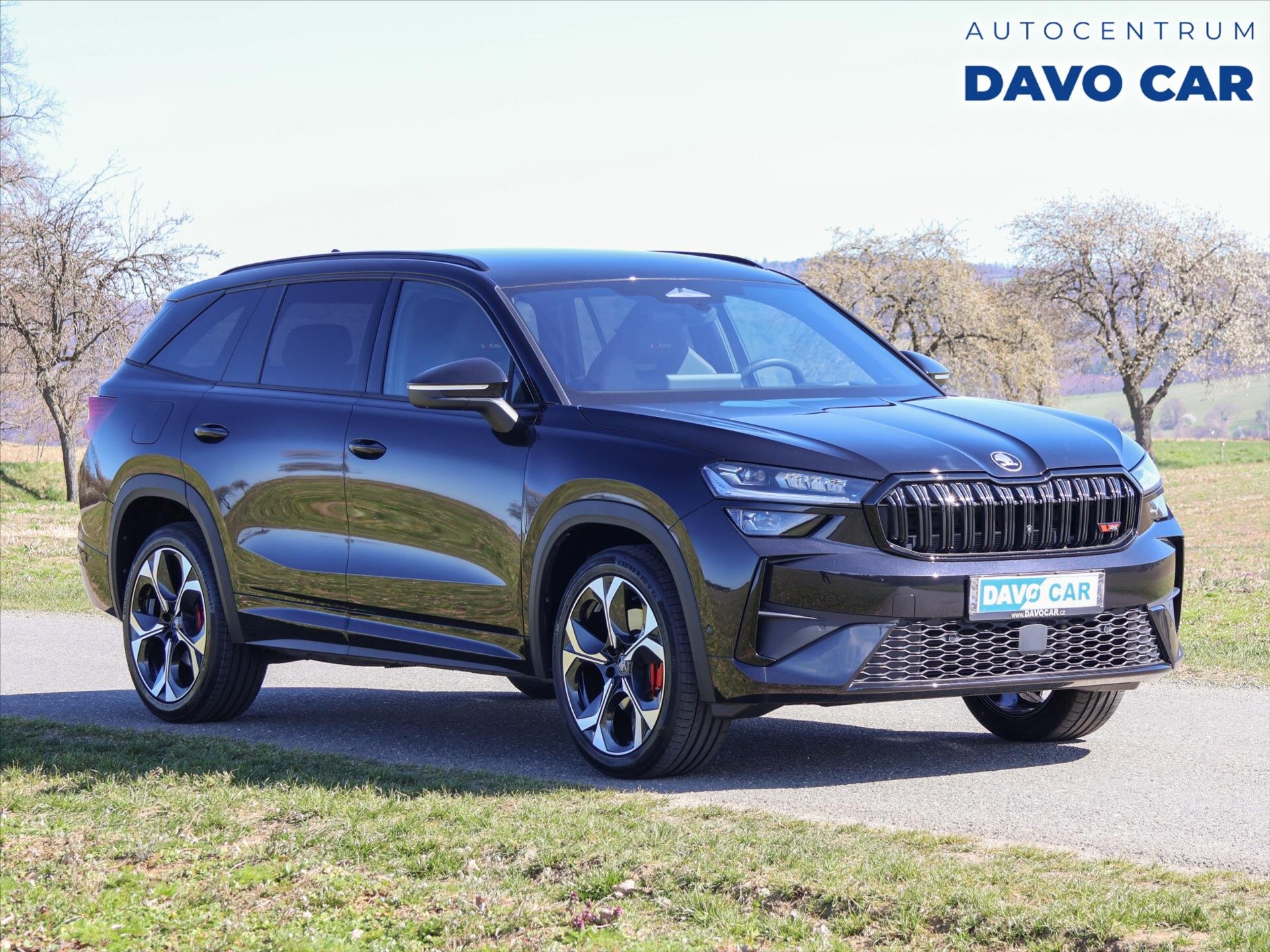 Škoda Kodiaq SUV / Terénní 2,0 l 195 kw