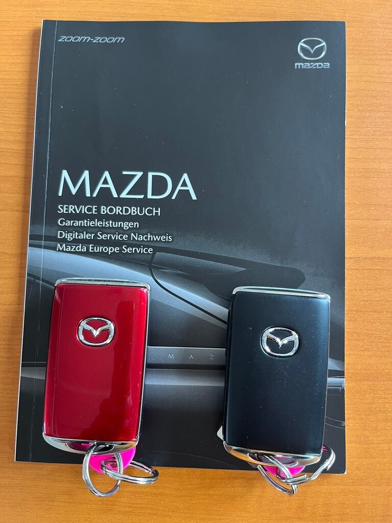 Mazda MX-30 SUV / Terénní 0,0 107 kw