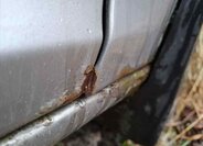 Škoda Octavia Ostatní 2,0 l 103 kw