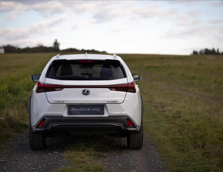 Lexus UX 300h 14