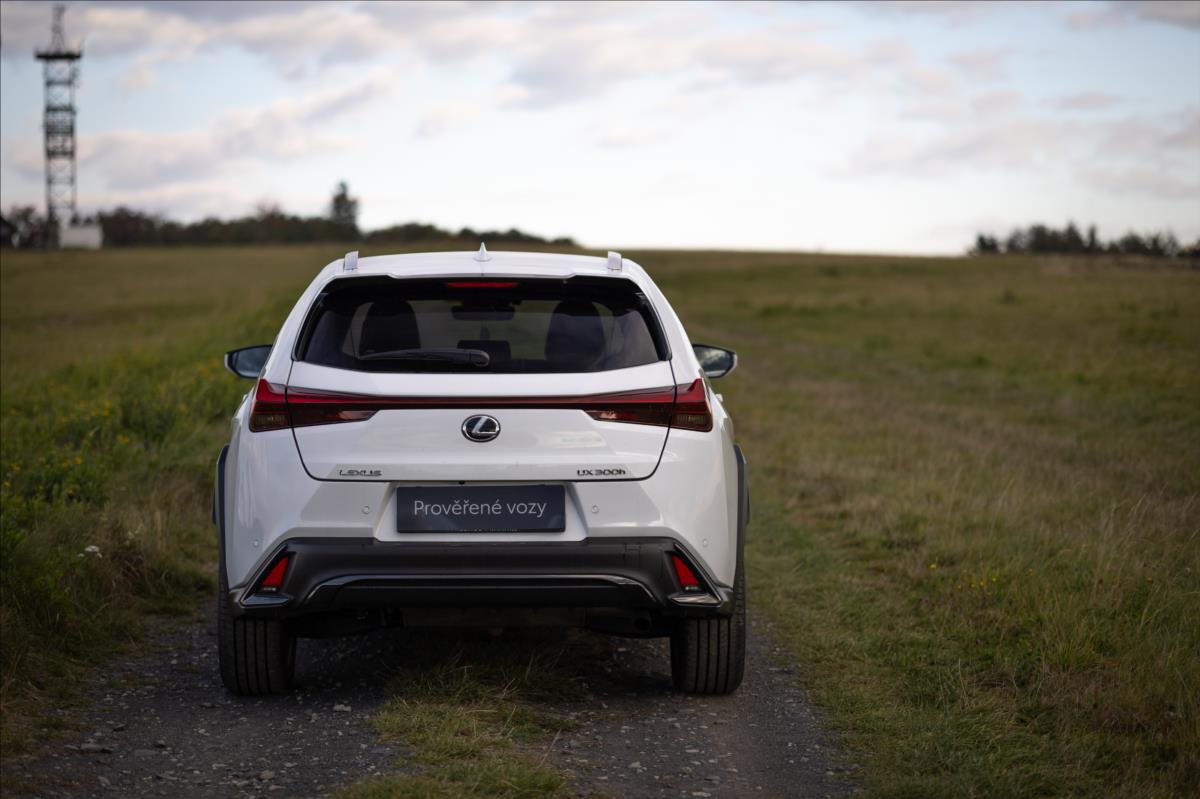 Lexus UX 300h