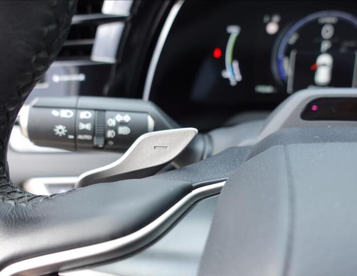 Lexus RX 450h plus 33