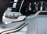 Lexus RX 450h plus 33