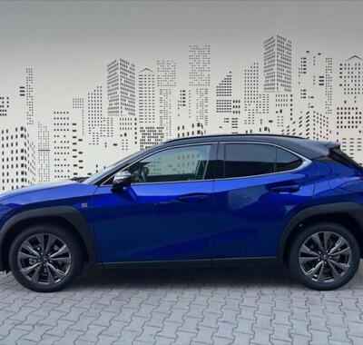 Lexus UX 250h 3