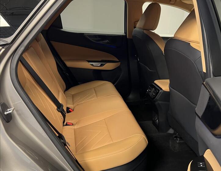 Lexus NX 350h 10
