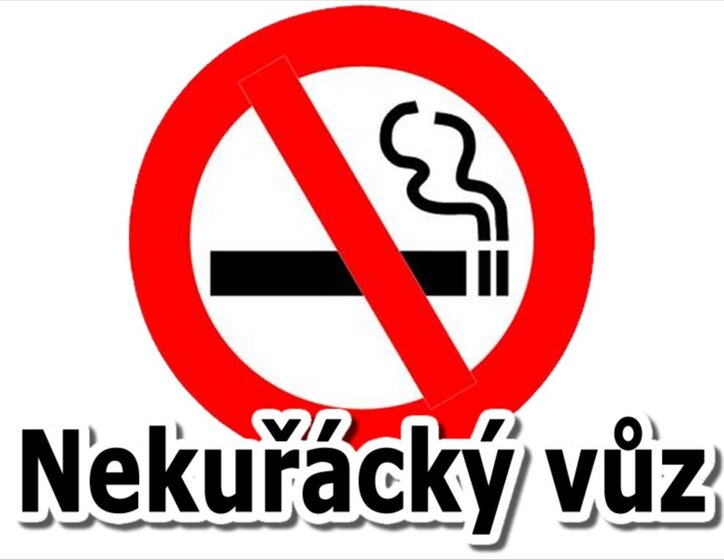 Seat Alhambra MPV 2,0 l 162 kw