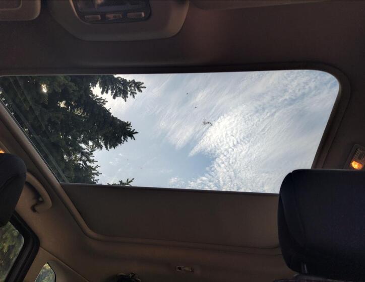 Citroën C4 Picasso 19