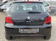 Peugeot 307 Hatchback 1,6 l 80 kw