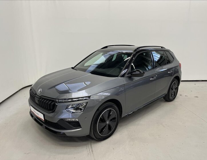 Škoda Kamiq 1