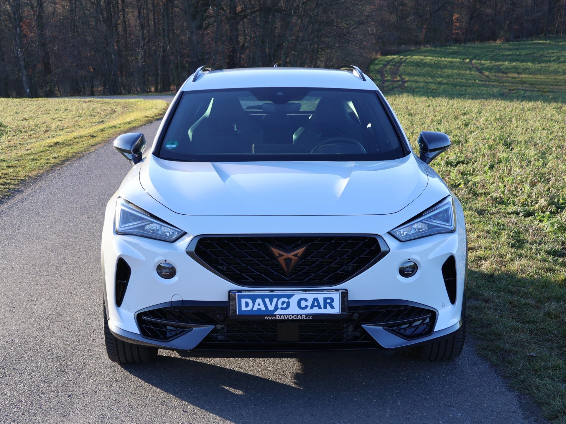 Cupra Formentor SUV / Terénní 2,0 l 228 kw