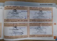 Citroën C4 Picasso 30