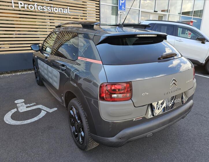 Citroën C4 Cactus 15