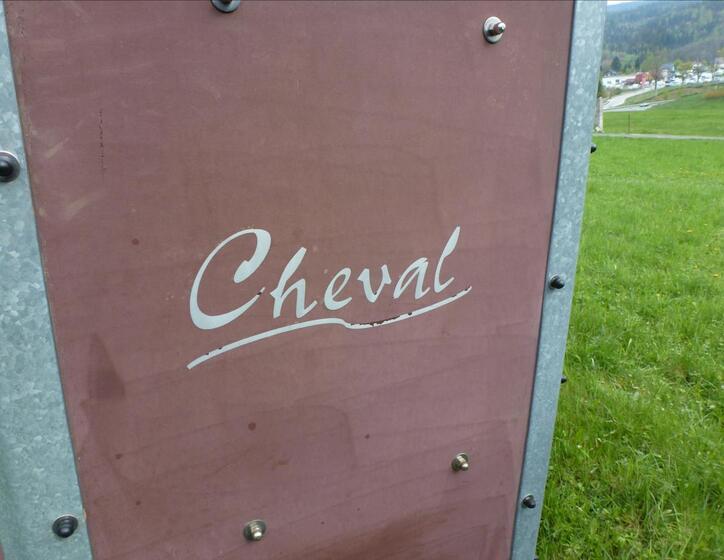 Ostatní Ostatní 21