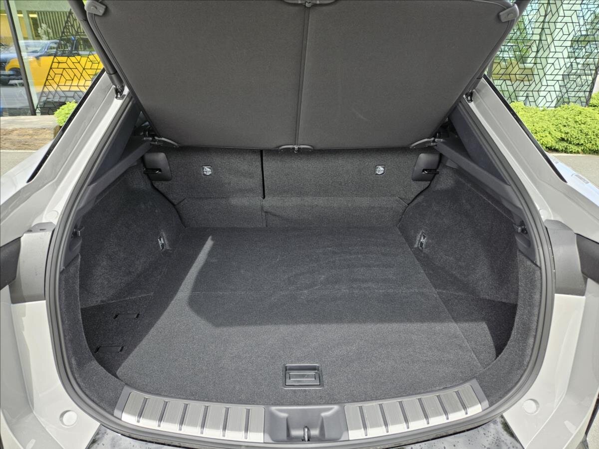Lexus RZ 450e Kombi 0,0 301 kw