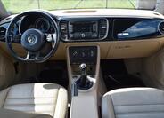 Volkswagen Beetle 27