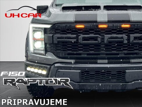 Ford F-150 Pick-up 5,0 l 298 kw