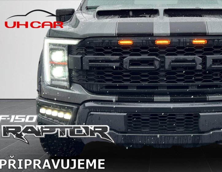 Ford F-150 Pick-up 5,0 l 298 kw