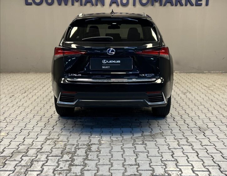 Lexus NX 300h 12