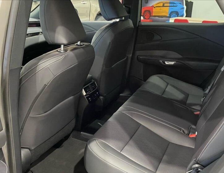 Lexus RX 450h plus 11